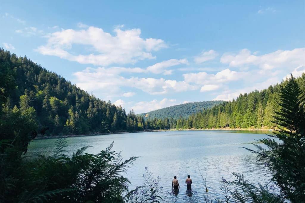 Lullaby House - Large, Full Comfort 5 Star Chalet House In The Vosges Ramonchamp Exterior foto