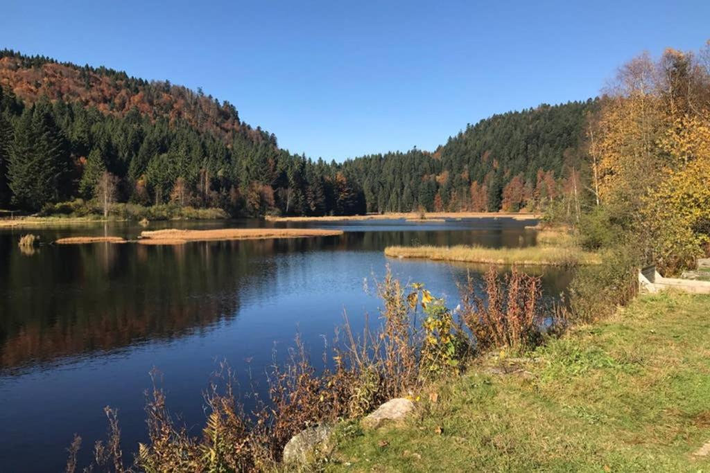 Lullaby House - Large, Full Comfort 5 Star Chalet House In The Vosges Ramonchamp Exterior foto